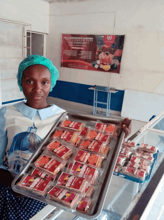 Mobirise Website Builder