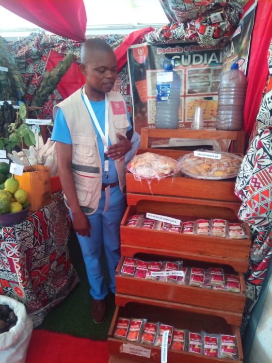 Mobirise Website Builder